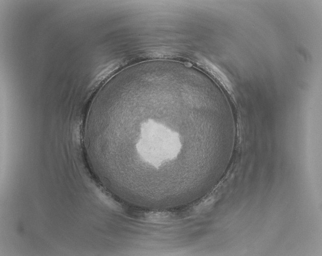 X0000115180105200911181435