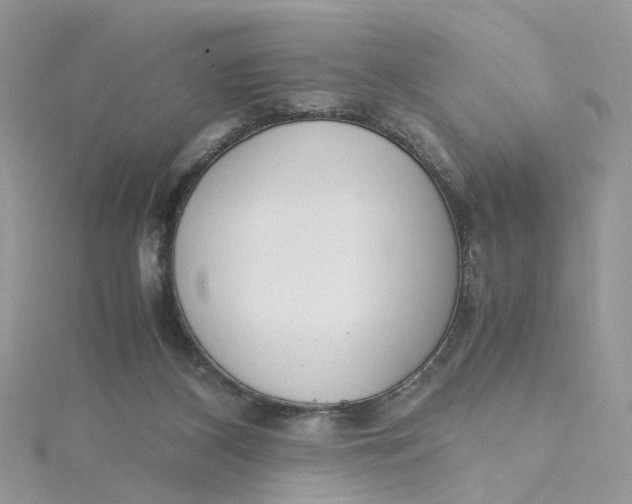 X0000115180116200911181435