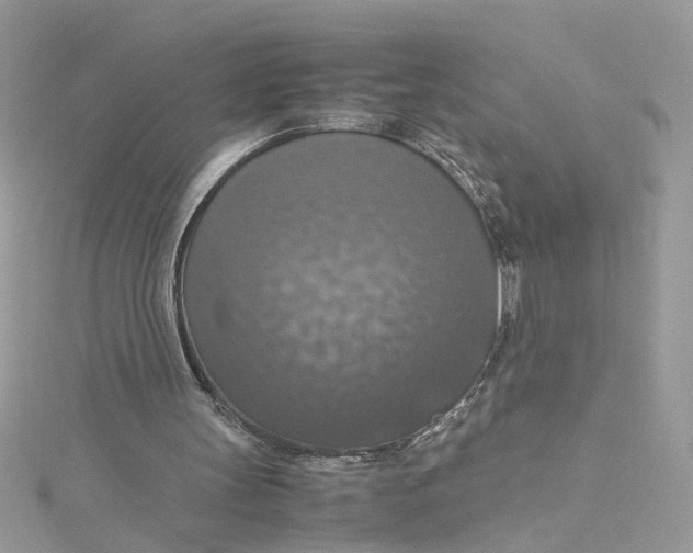 X0000115180147200911181434