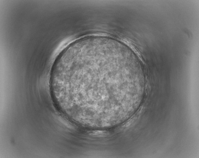 X0000115180151200911181434