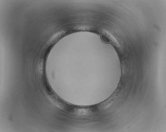 X0000115180163200911181434