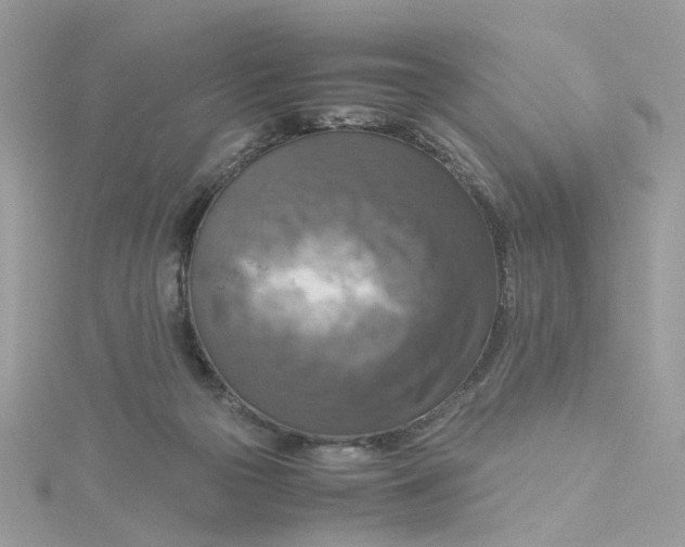 X0000115180169200911181434