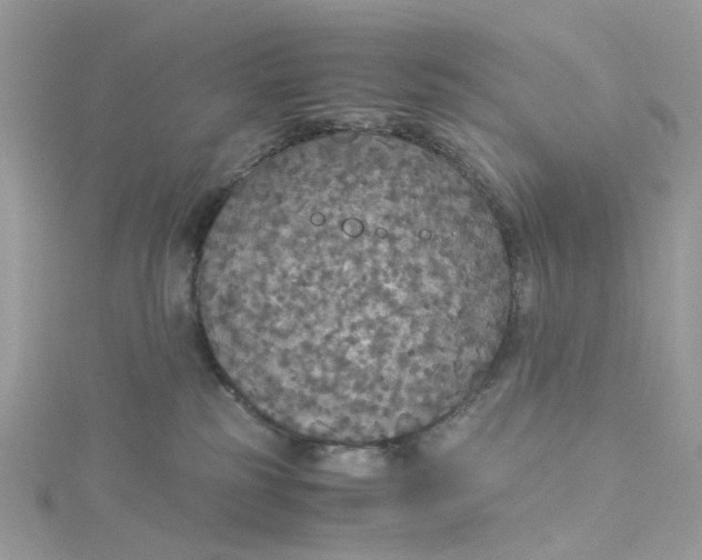 X0000115180185200911181434