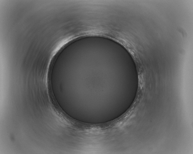 X0000115180196200911181434
