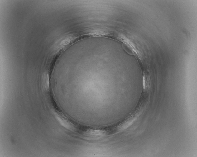 X0000115180205200911181434