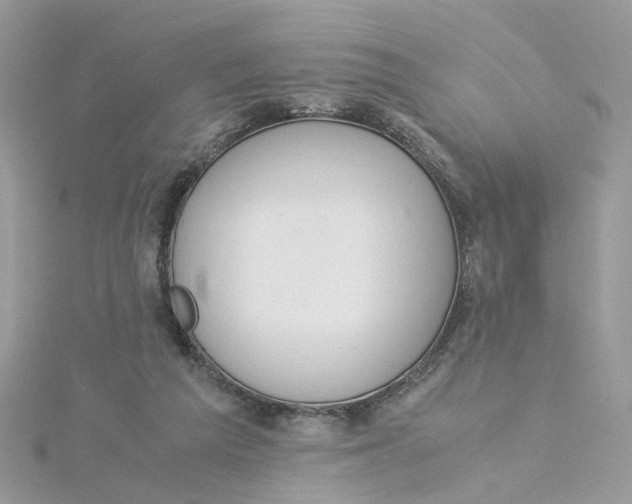 X0000115180209200911181433