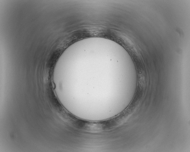 X0000115180221200911181433