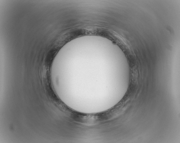 X0000115180225200911181433