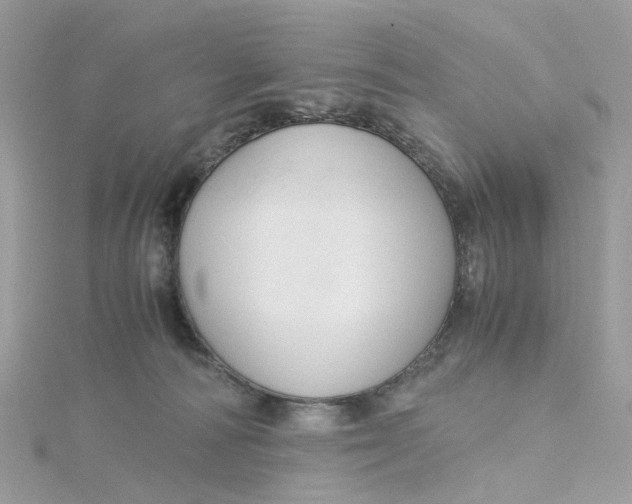 X0000115180226200911181433