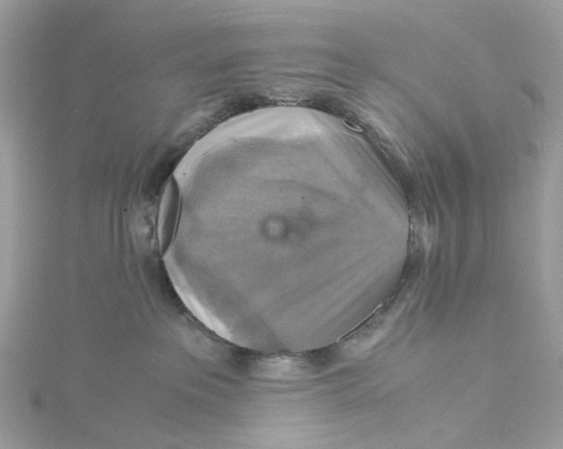 X0000115180237200911181433