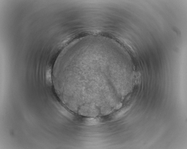X0000115180238200911181433