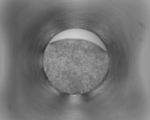 X0000115180240200911181433