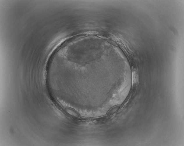 X0000115180243200911181432