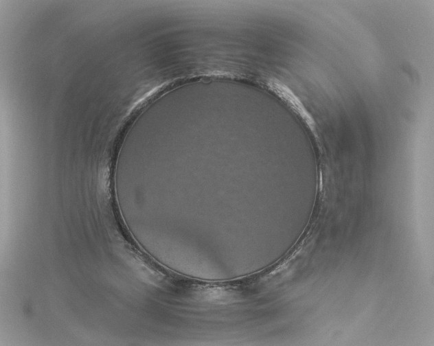 X0000115180249200911181432