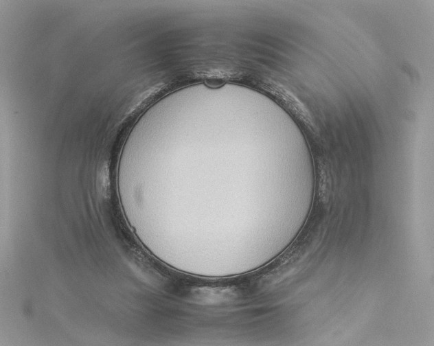 X0000115180251200911181432