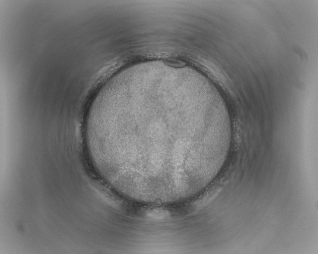 X0000115180258200911181433