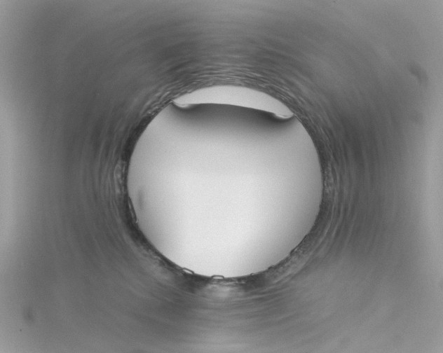X0000115180280200911181433