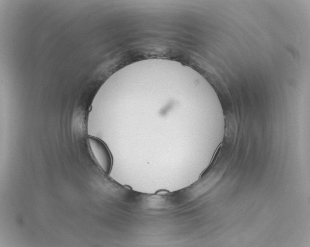 X0000115180287200911181433