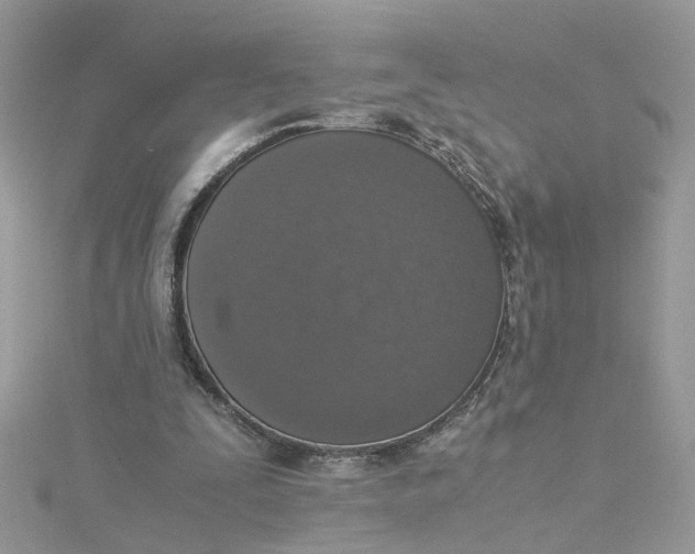 X0000115180295200911181432