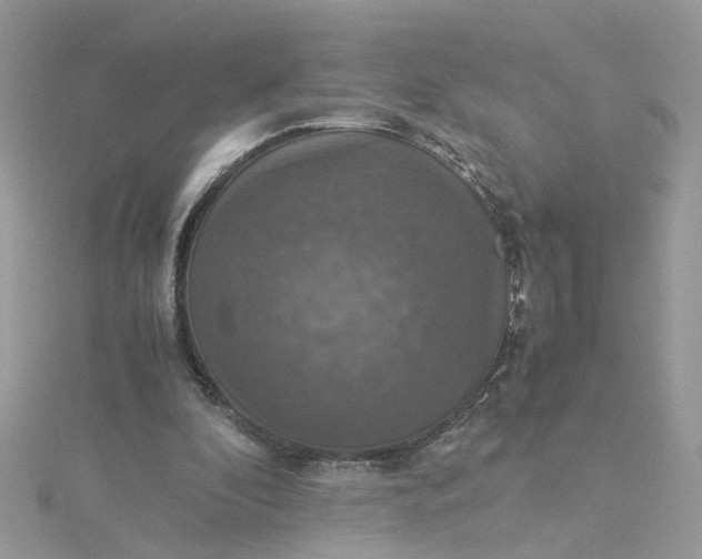 X0000115180296200911181432