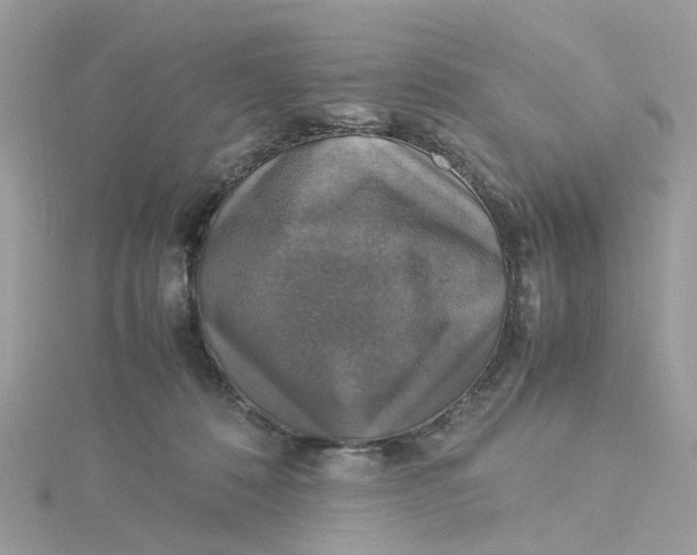 X0000115180320200911181432