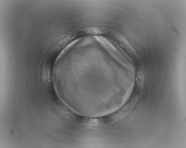 X0000115180330200911181432
