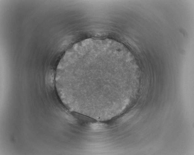X0000115180336200911181432