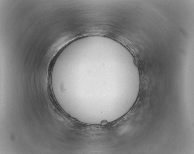 X0000115180338200911181431