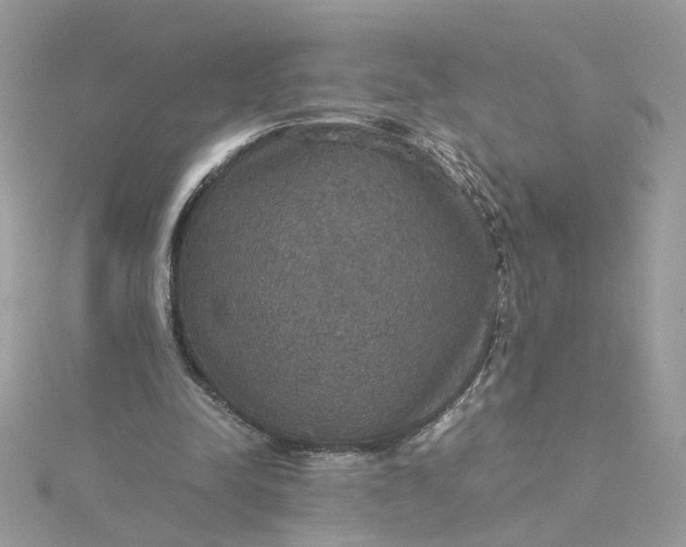 X0000115180342200911181431