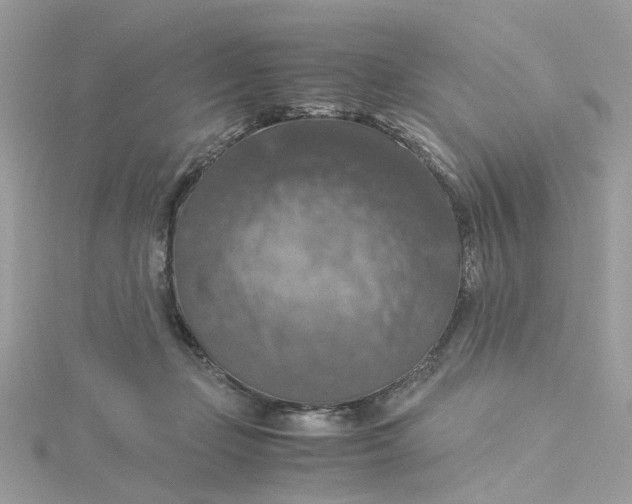 X0000115180365200911181431