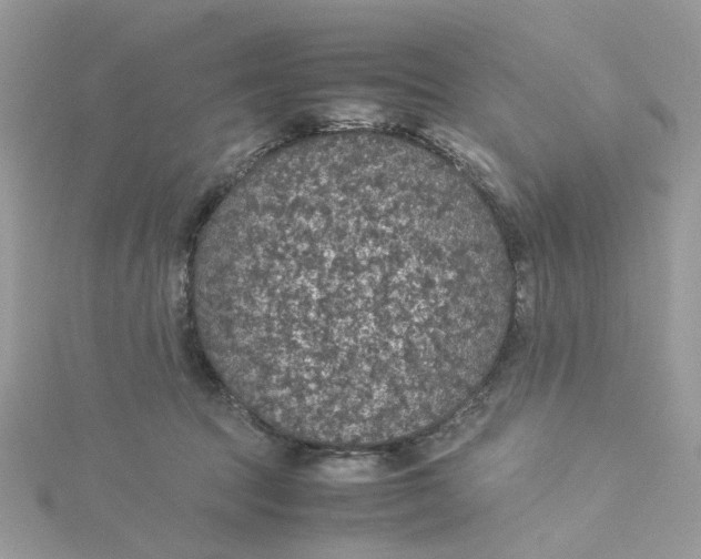 X0000115180369200911181431