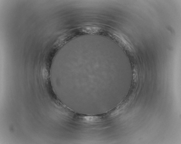 X0000115180371200911181431