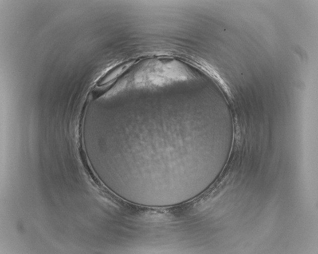 X0000115180386200911181431