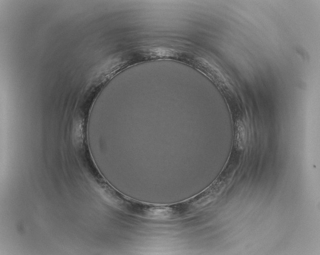 X0000115180410200911181431