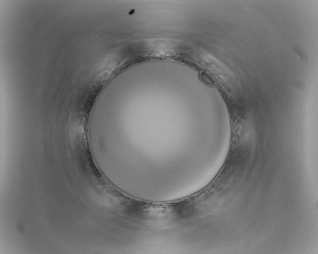 X0000115180415200911181430