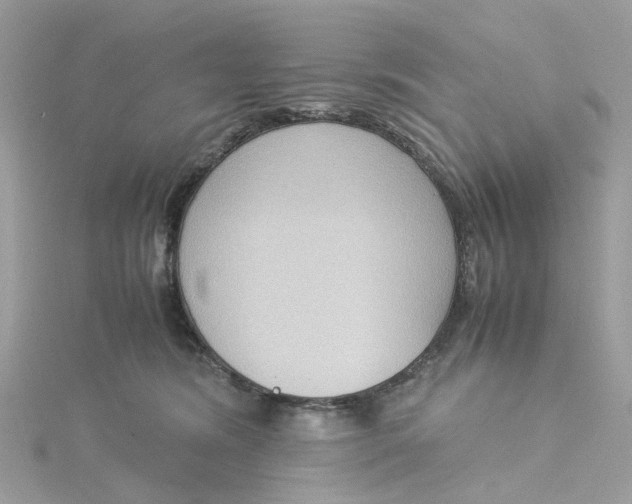 X0000115180420200911181430