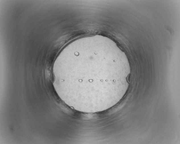 X0000115180432200911181430