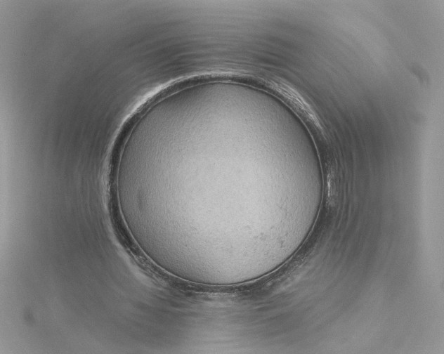 X0000115180436200911181430