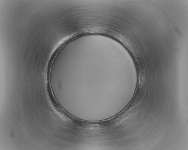 X0000115180438200911181430