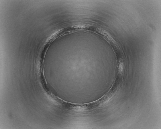 X0000115180444200911181430