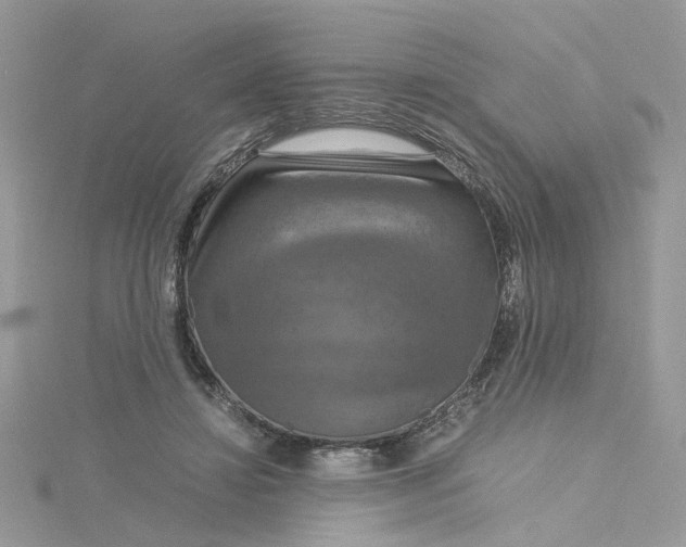 X0000115180452200911181430