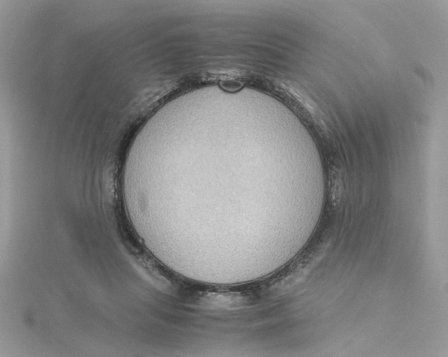 X0000115180455200911181430