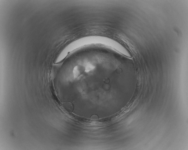 X0000115180467200911181430