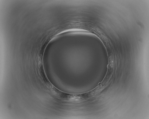 X0000115180471200911181430