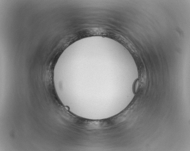 X0000115180473200911181430