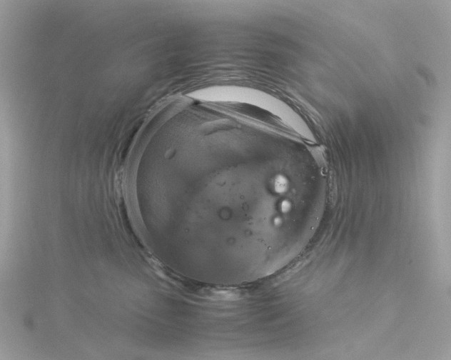 X0000115180475200911181430