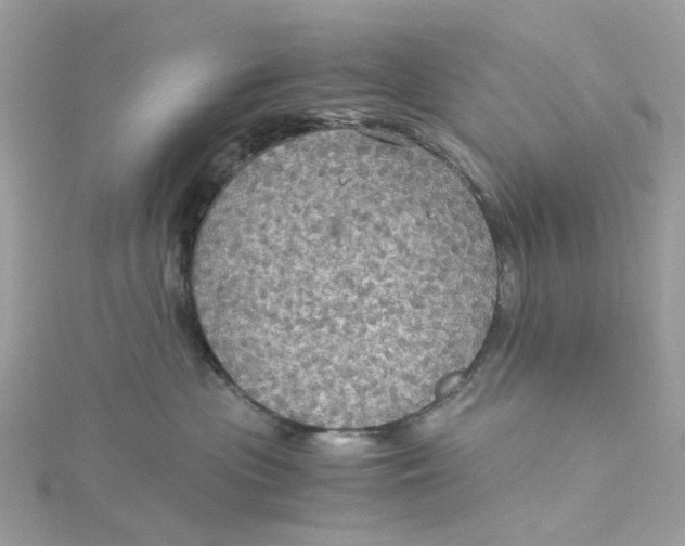 X0000115180477200911181430