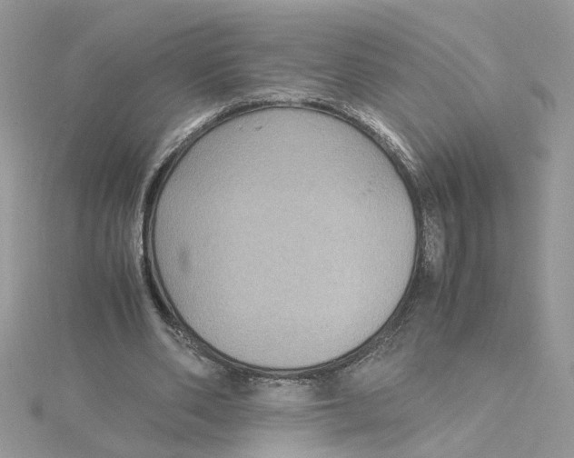 X0000115180486200911181430