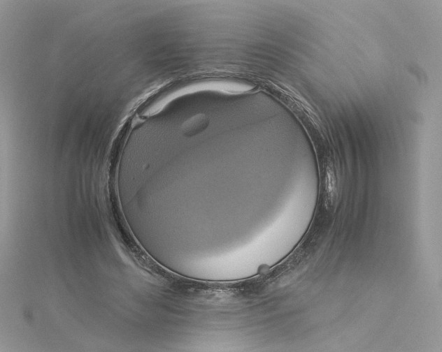 X0000115180492200911181429
