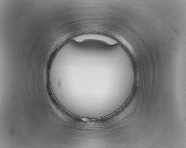 X0000115180493200911181429